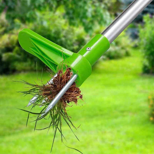 Extractor de malezas: un jardín hermoso y limpio en segundos