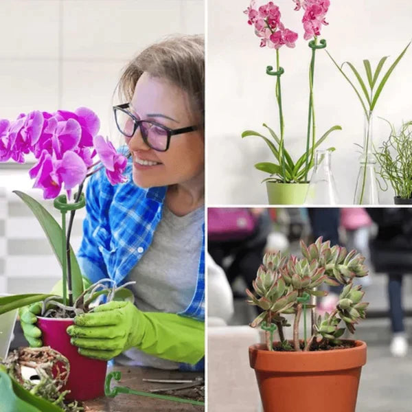 Smart Garden Plant Support - GardenLift