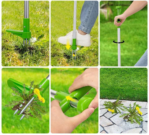 Extractor de malezas: un jardín hermoso y limpio en segundos