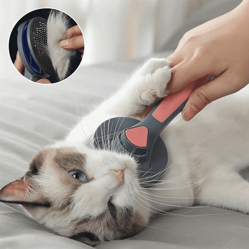 Pet Hair Removal Brush