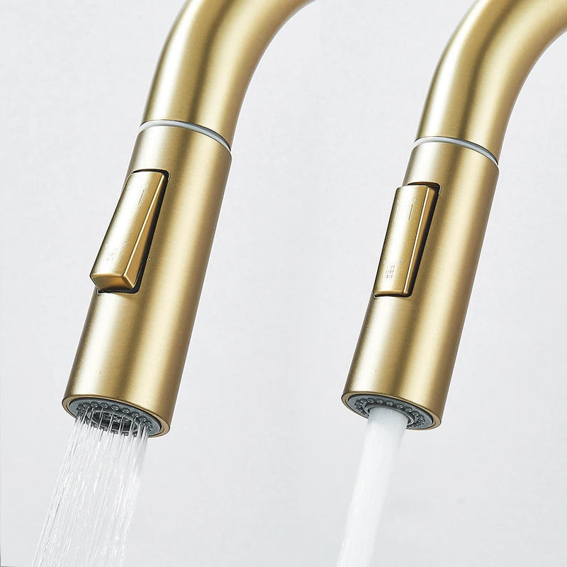 Gourmet Pull-Out Kitchen Sink Tap - EasySpray 