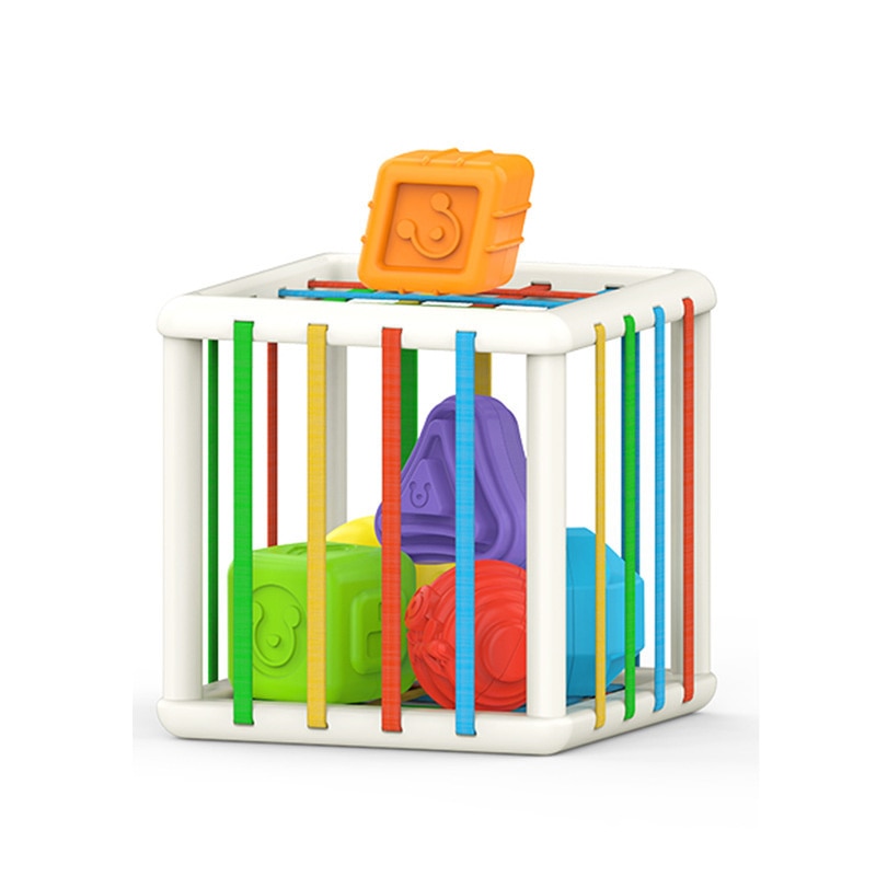 Elastic Toy for Kids