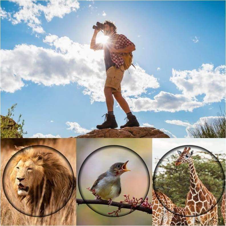 Binoculares profesionales 60x60 - Alcance de hasta 10 km