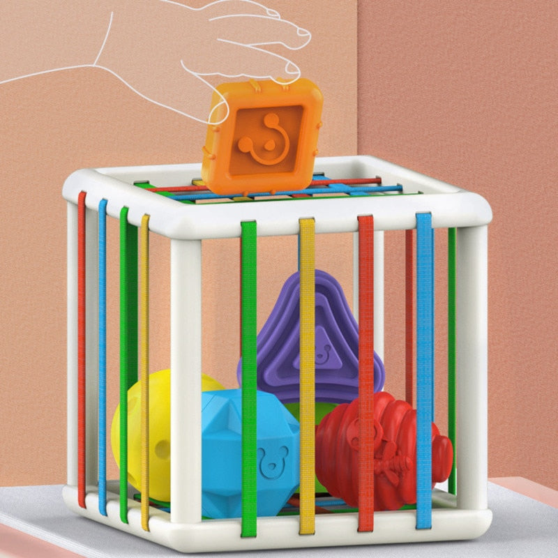 Elastic Toy for Kids