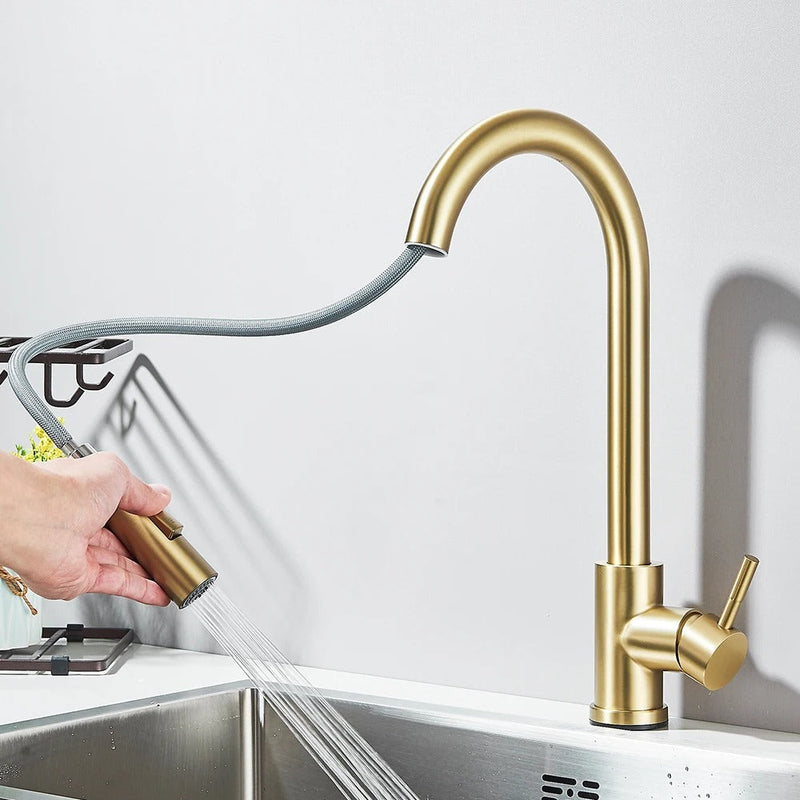 Gourmet Pull-Out Kitchen Sink Tap - EasySpray 