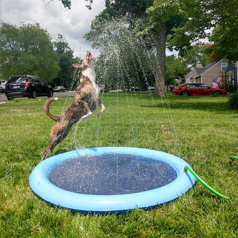Inflatable Pet Pool