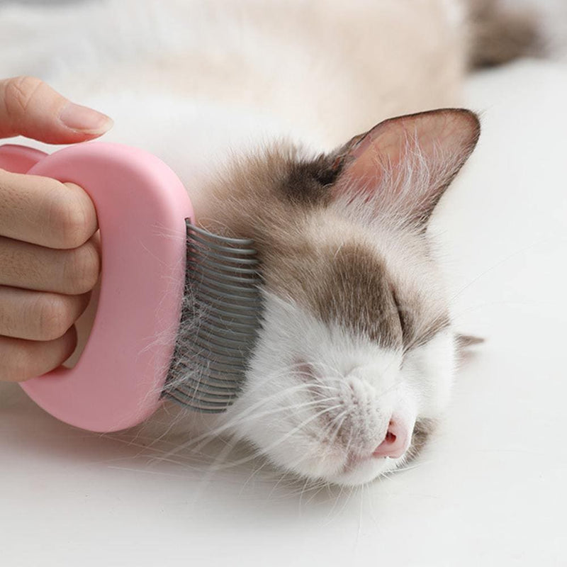 Pet Hair Removal and Massage Brush