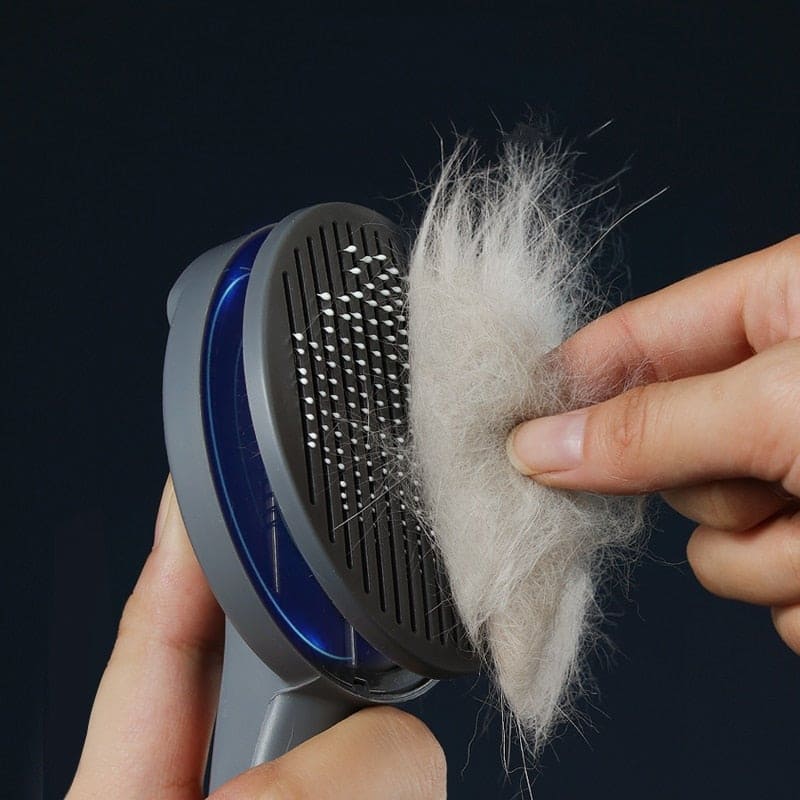 Pet Hair Removal Brush