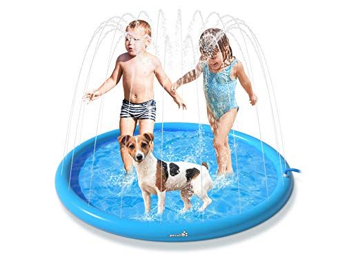 Inflatable Pet Pool